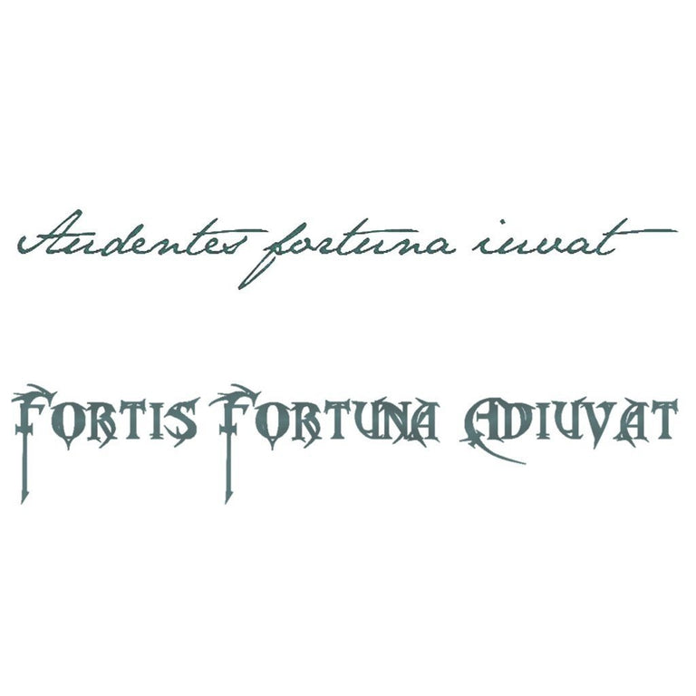 "Fortune favors the bold" - Latin