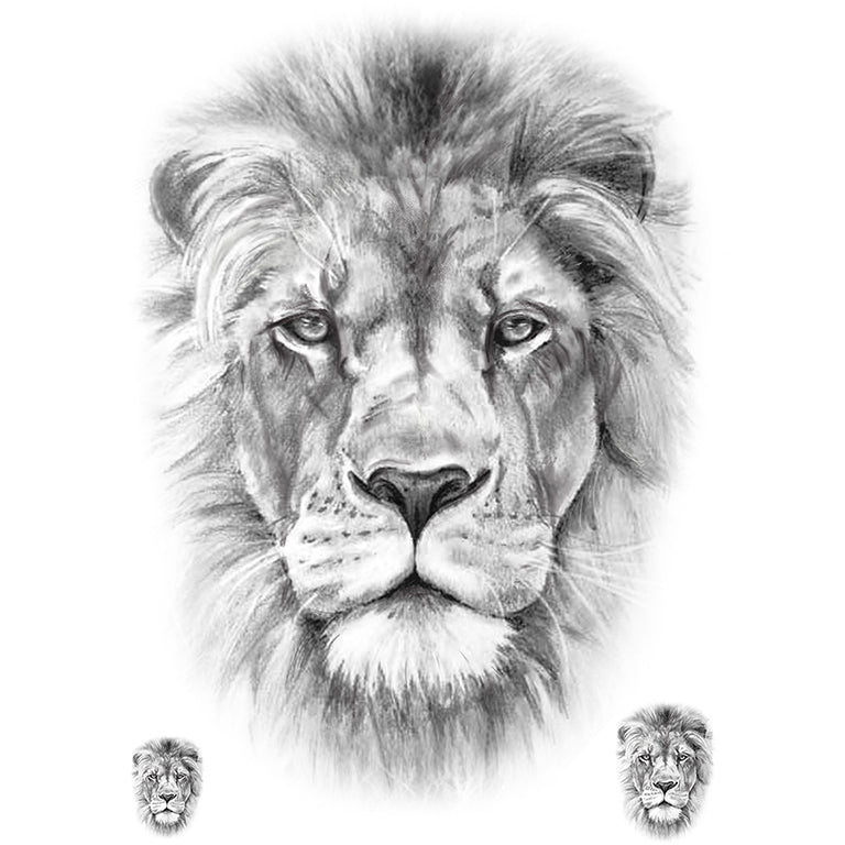 lion tattoo drawing