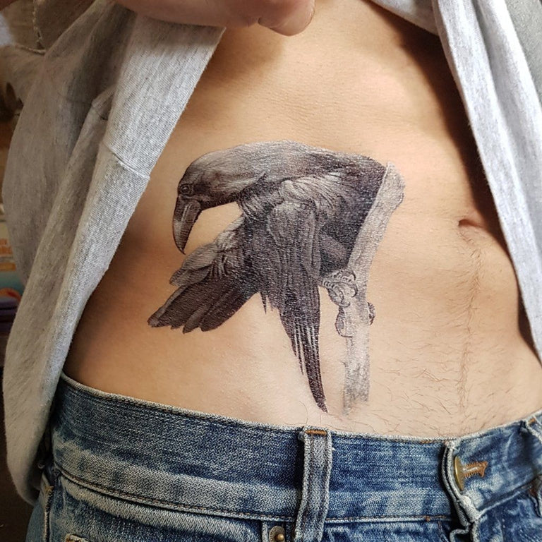 Anarchy Tattoos / Envy Tattoo - Crow tattoo done by Evil  @evil.anarchytattoos . . . . . . #crowtattoo #crow #raven #raventattoo  #necktattoo #orlandotattooartist | Facebook