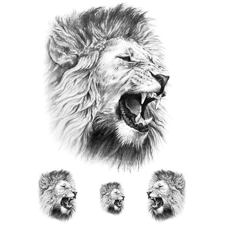 male lions roaring drawing