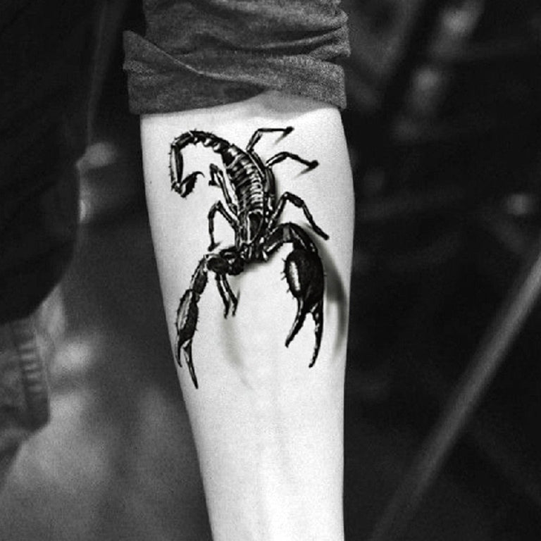 Tatouage éphémère : Scorpion & Spiders - Pack - ArtWear Tattoo - Tatouage temporaire