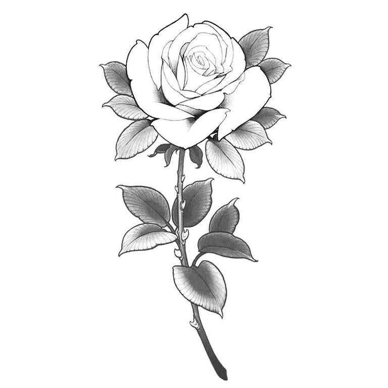 rose drawing tattoo