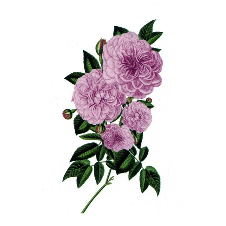Tatouage éphémère : Pink Flowers - ArtWear Tattoo - Tatouage temporaire