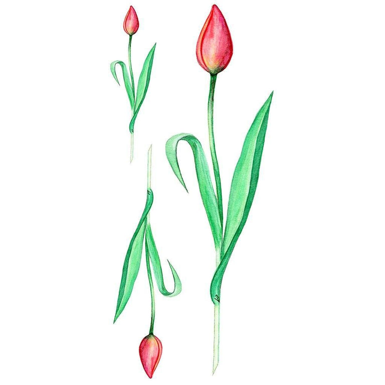 Tatouage éphémère : Tulip - Pack - ArtWear Tattoo - Tatouage temporaire